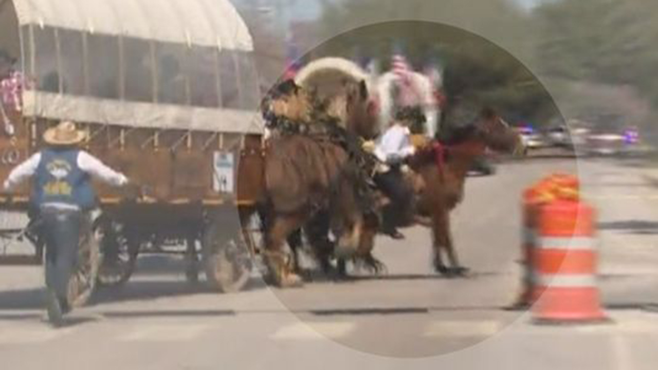 Caught on camera Rodeo trail rider seriously hurt in accident